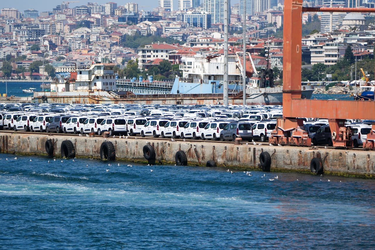 pexels photo 33838561.jpeg