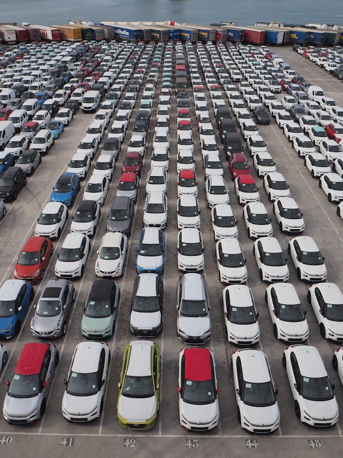 pexels photo 9137222.jpeg